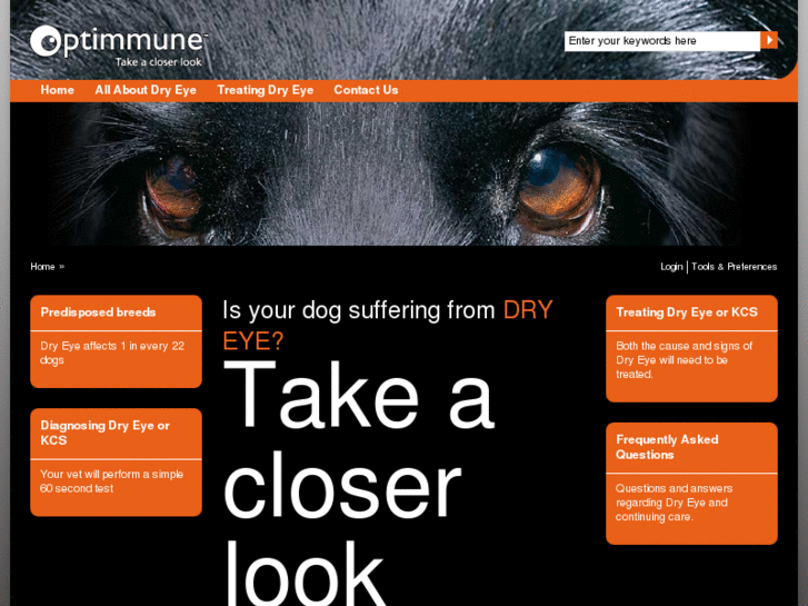 www.dog-dry-eye.com