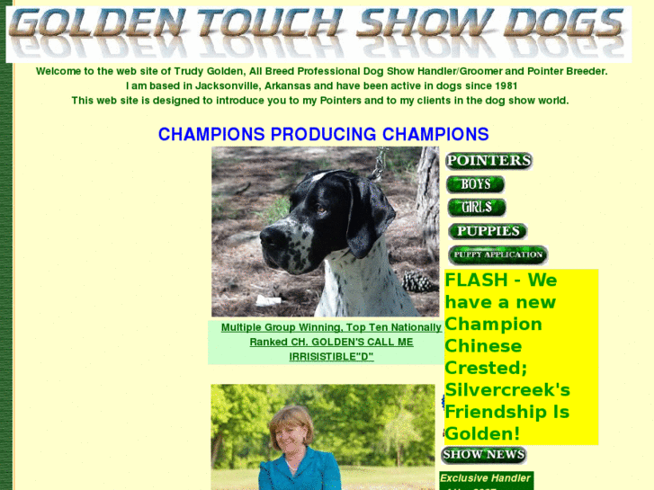 www.goldentouchshowdogs.com