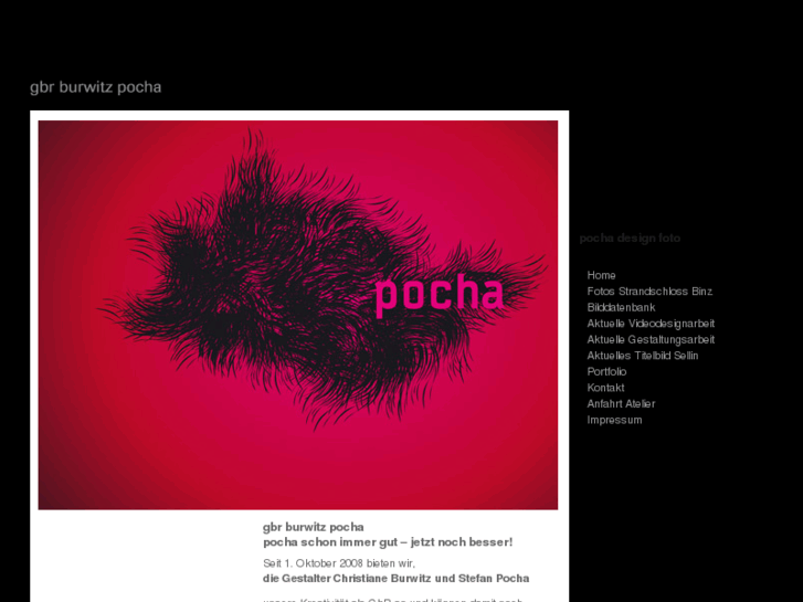 www.pocha.de
