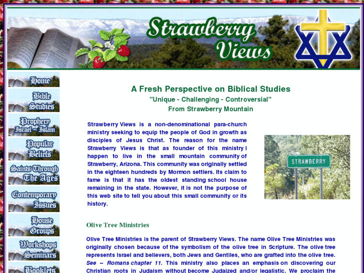 www.strawberryviews.com