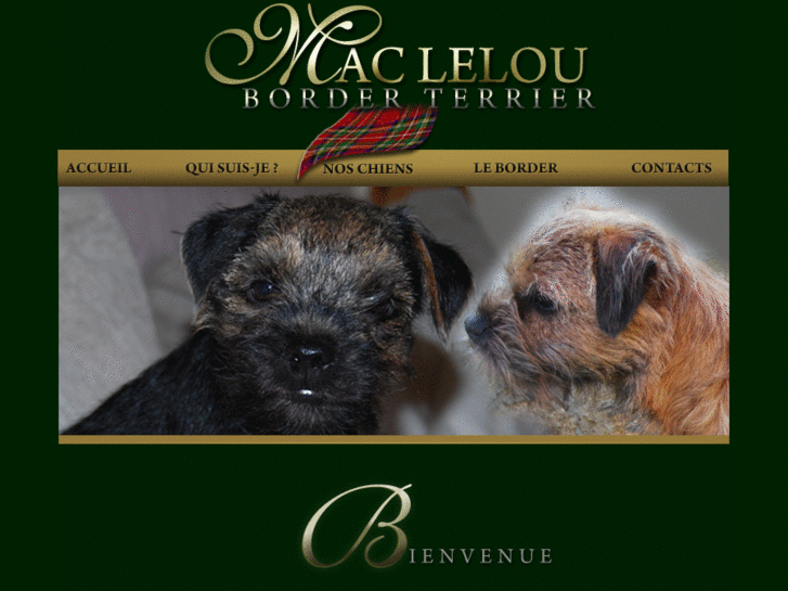 www.border-terrier-mac-lelou.com