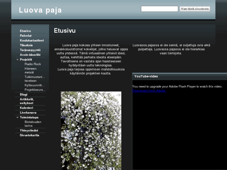 www.luovapaja.com