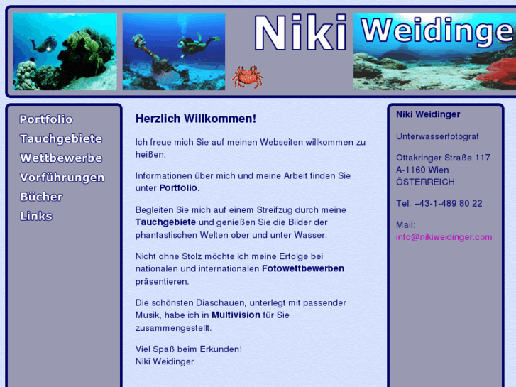 www.nikiweidinger.com