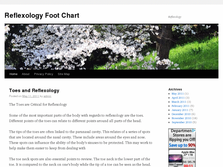 www.reflexologyfootchart.net