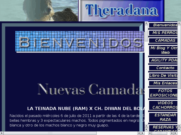 www.theradana.net