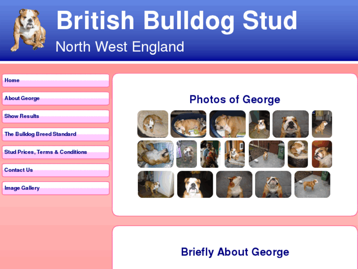 www.britbulldog.com