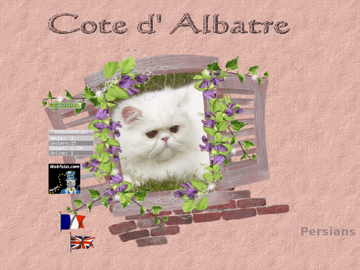 www.cote-albatre.net