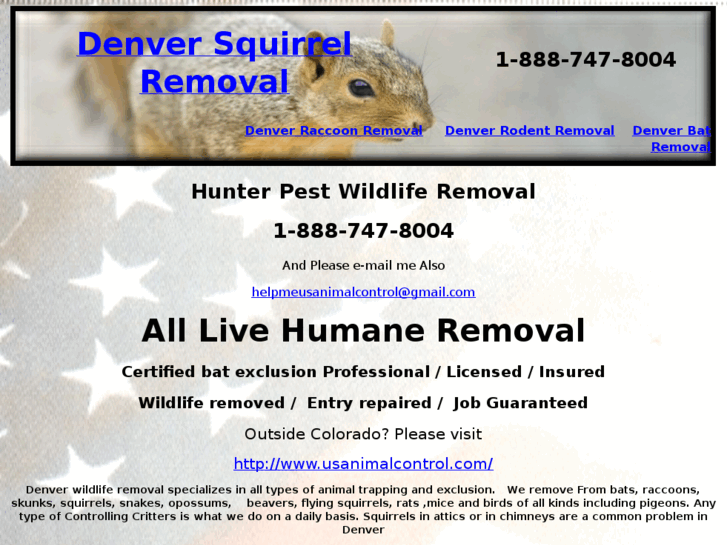 www.denversquirrelremoval.com