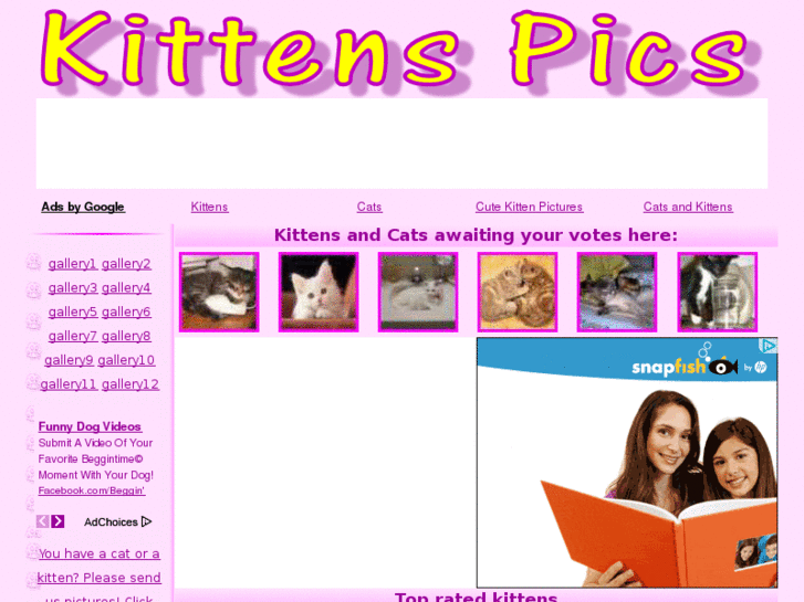 www.kittenspics.com