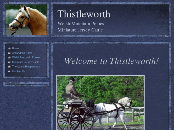 www.thistleworth.biz