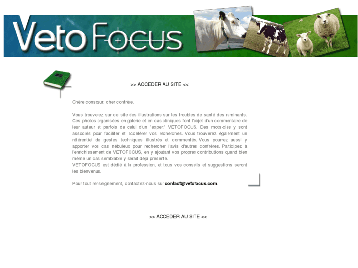 www.vetofocus.com
