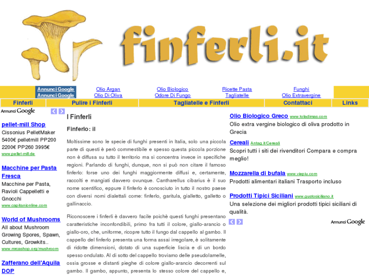 www.finferli.it