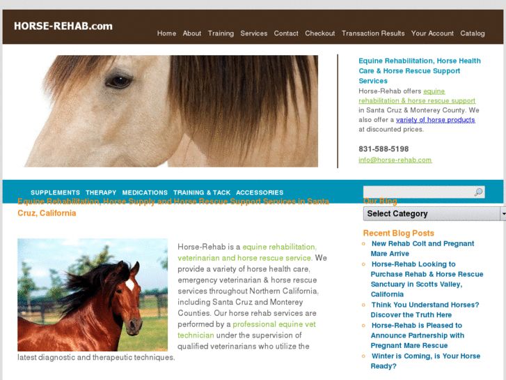 www.horse-rehab.com