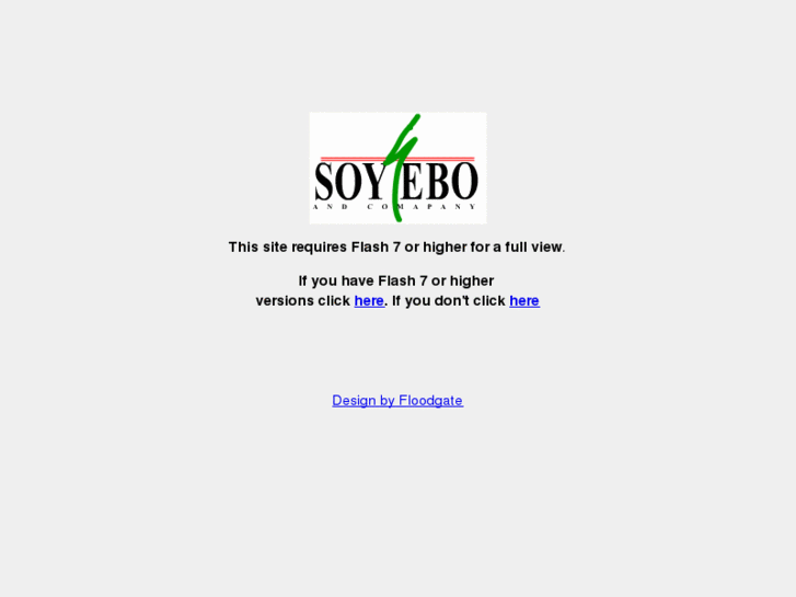 www.soyeboandco.com