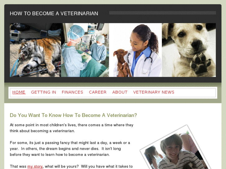 www.tobecomeaveterinarian.com