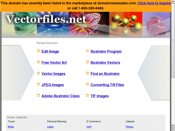 www.vectorfiles.net