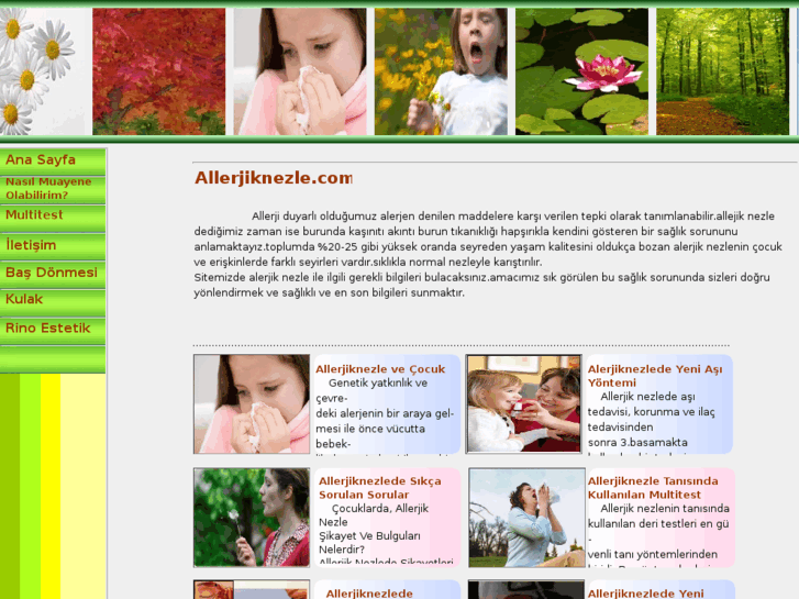 www.allerjiknezle.com