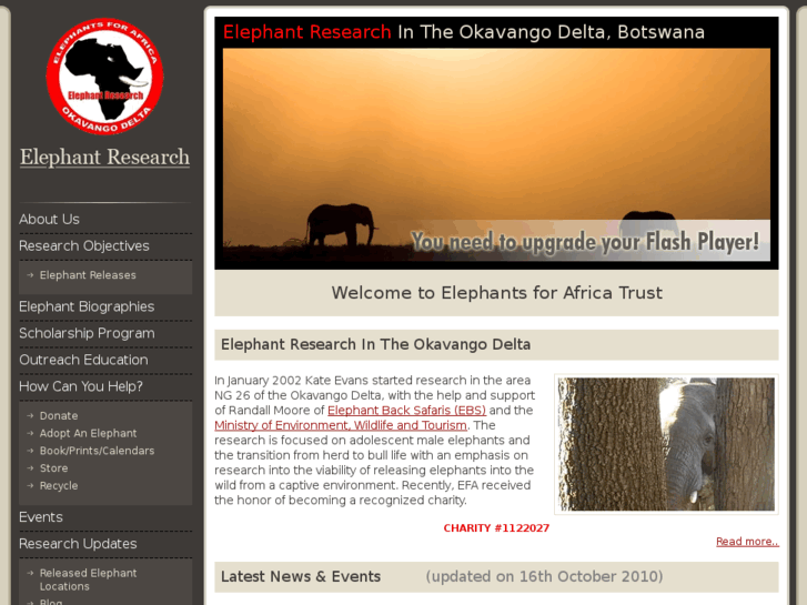 www.elephantsforafrica.org