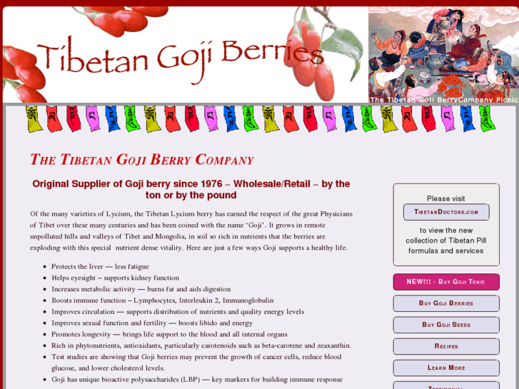 www.gojiberry.com