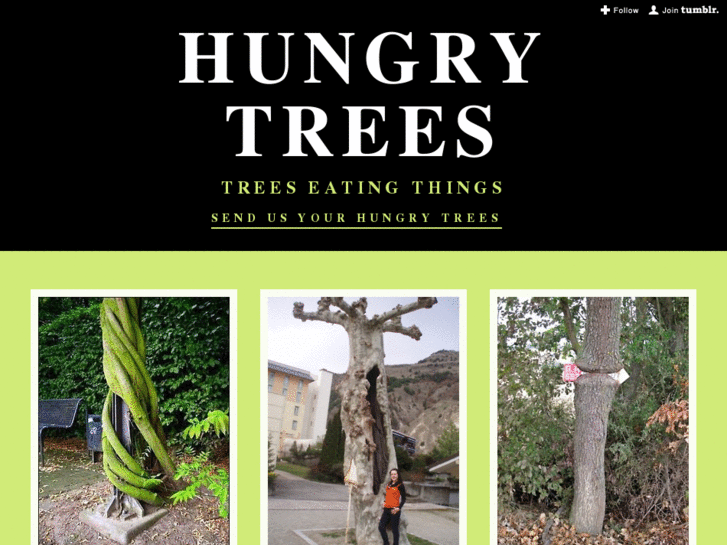 www.hungrytrees.com