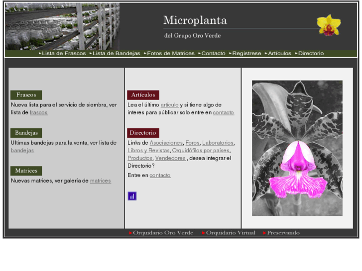 www.microplanta.com