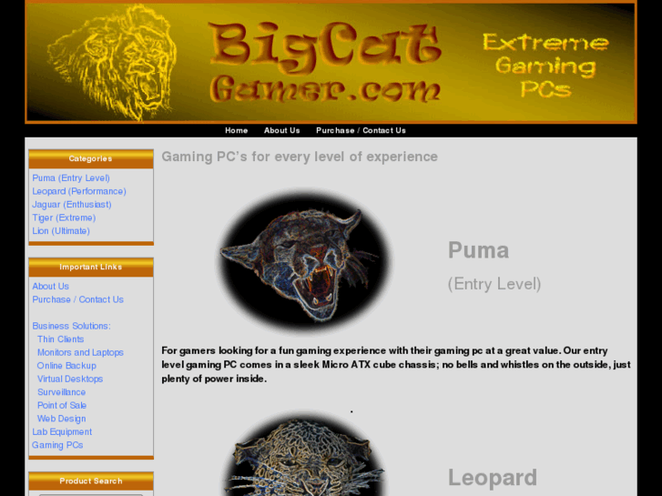 www.bigcatgamer.com