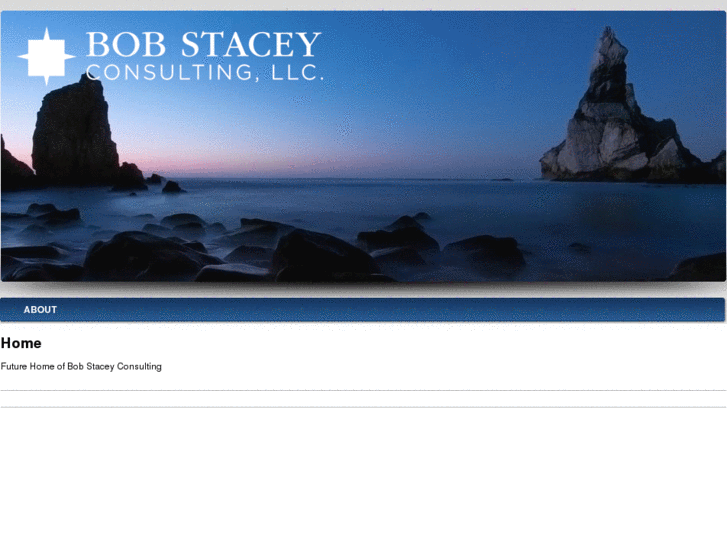 www.bobstaceyconsulting.net