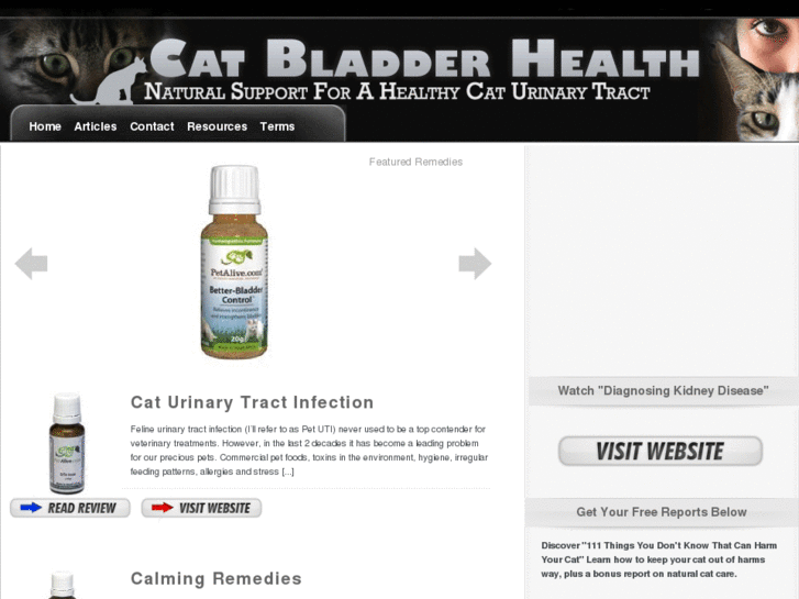 www.cat-bladder-problems.com