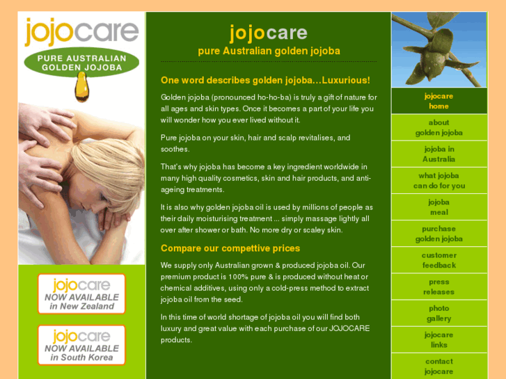 www.jojocare.com