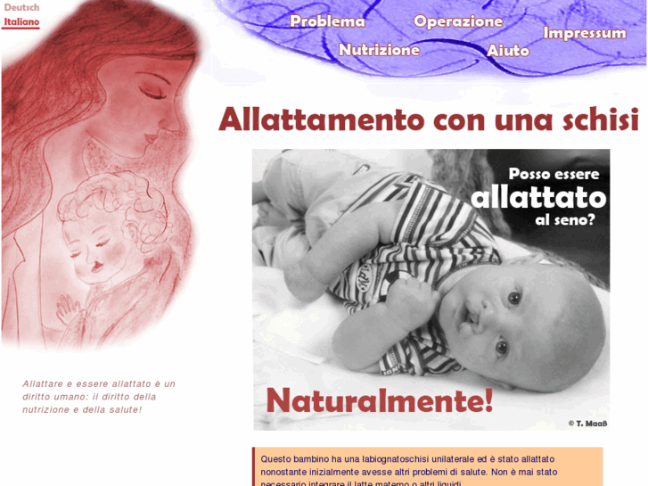 www.allattamentoschisi.org