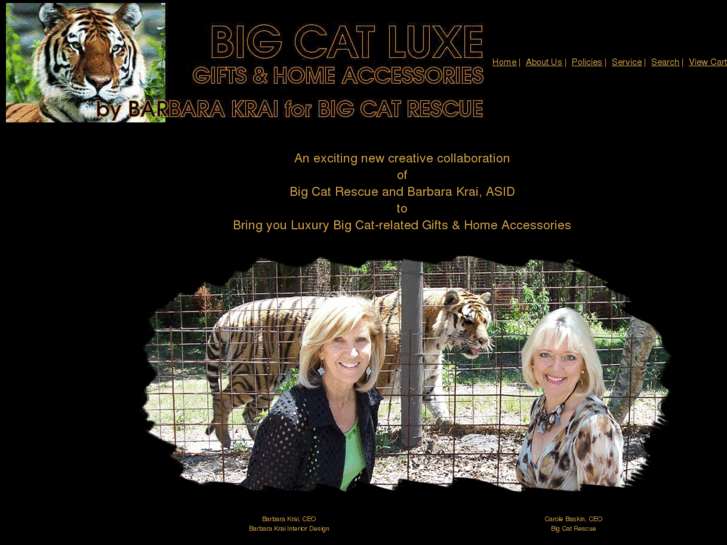 www.bigcatluxury.com