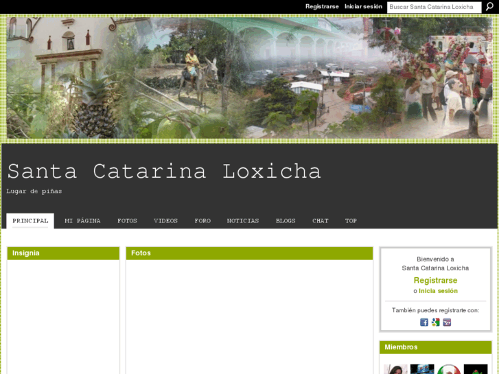 www.loxicha.com