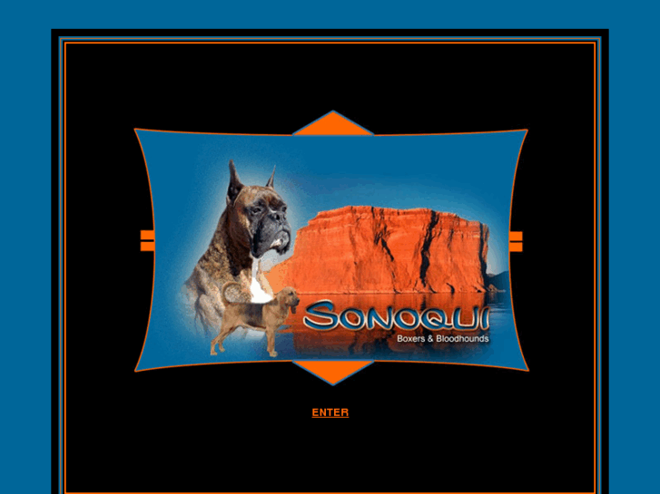 www.sonoquiboxersbloodhounds.com