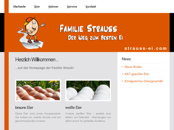 www.strauss-ei.com