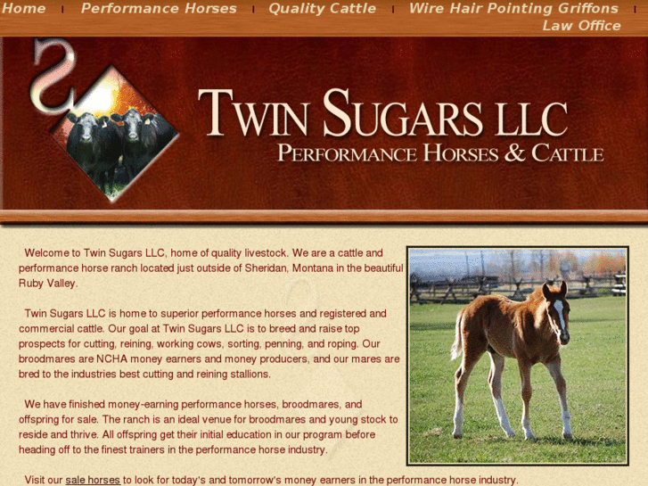 www.twinsugars.com