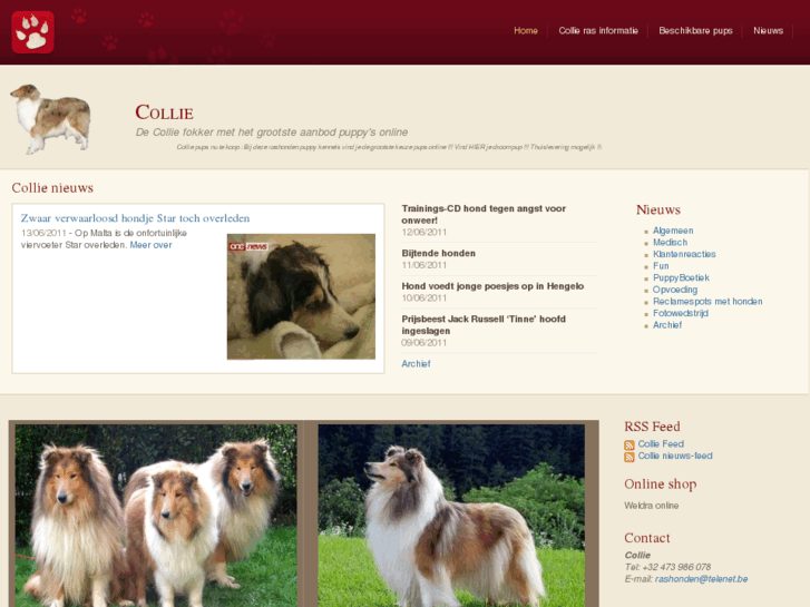 www.collie-online.be