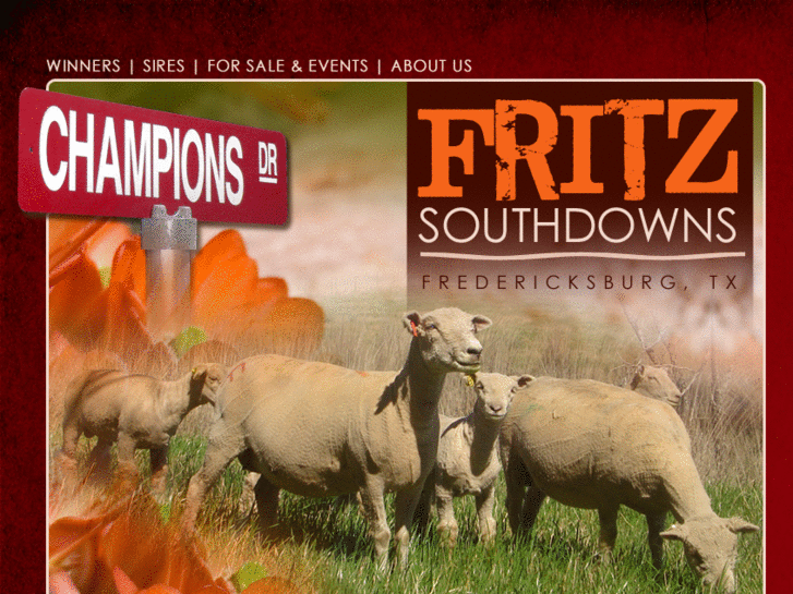 www.fritzsouthdowns.com