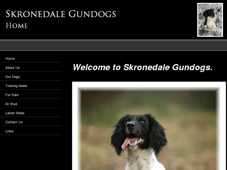 www.skronedalegundogs.com