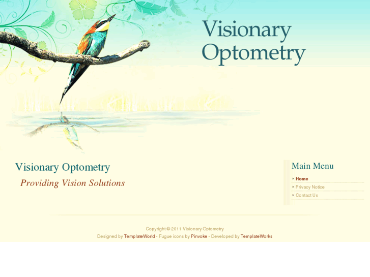 www.visionaryoptometry.com