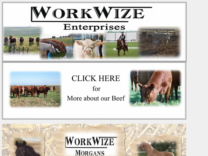 www.workwizemorgans.com