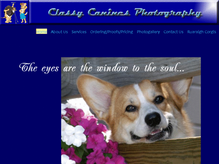 www.classycaninesphoto.com
