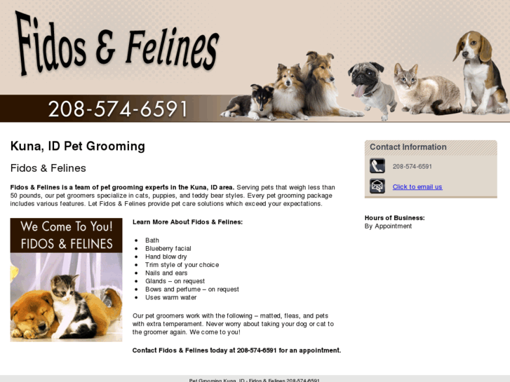 www.fidosnfelines.com