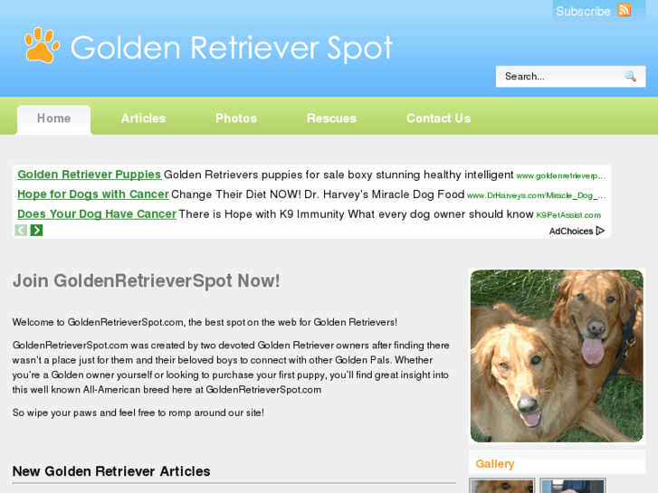 www.goldenretrieverspot.com