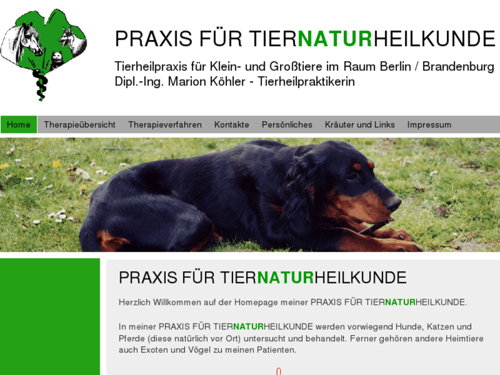 www.tiernaturheilkunde-praxis.com