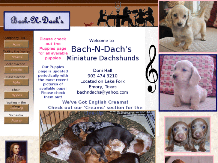 www.bachndachs.com