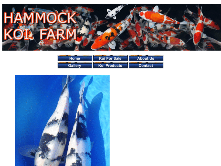 www.hammockkoifarm.com