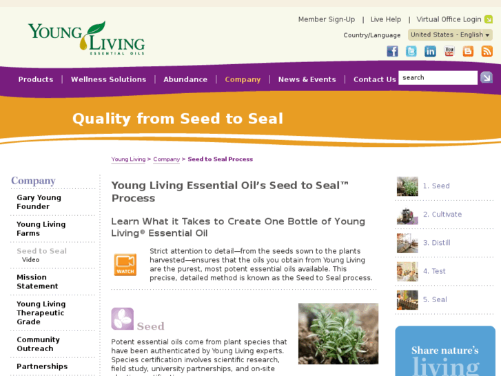 www.seedtoseal.com