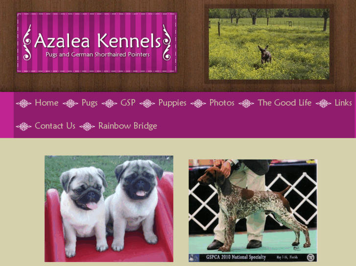 www.azaleakennels.com