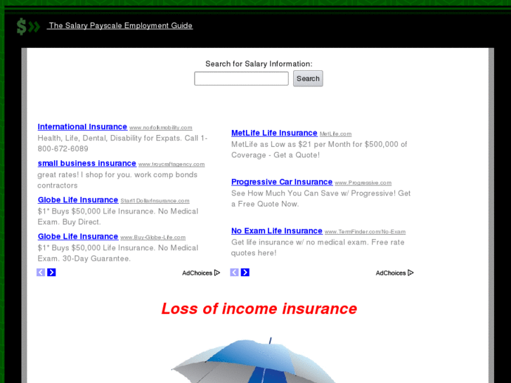 www.lossofincomeinsurance.com