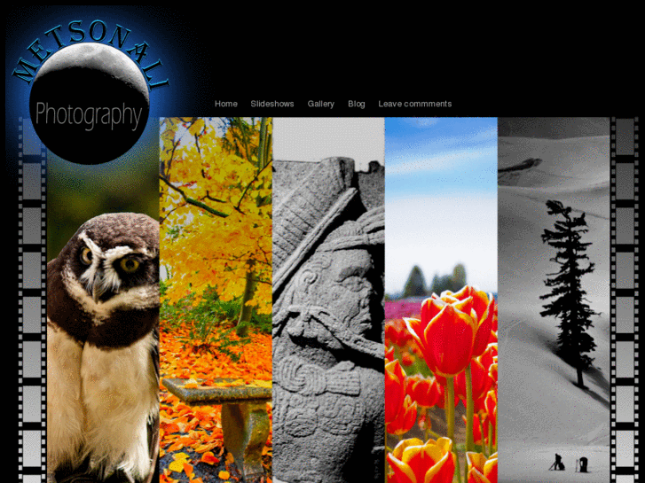 www.metsonaliphotography.com
